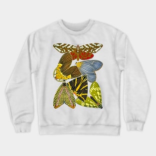 Butterflies Watercolor #11 Crewneck Sweatshirt